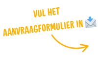 Fill THE Audit request form�� (8)