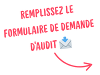 Fill THE Audit request form�� (9)