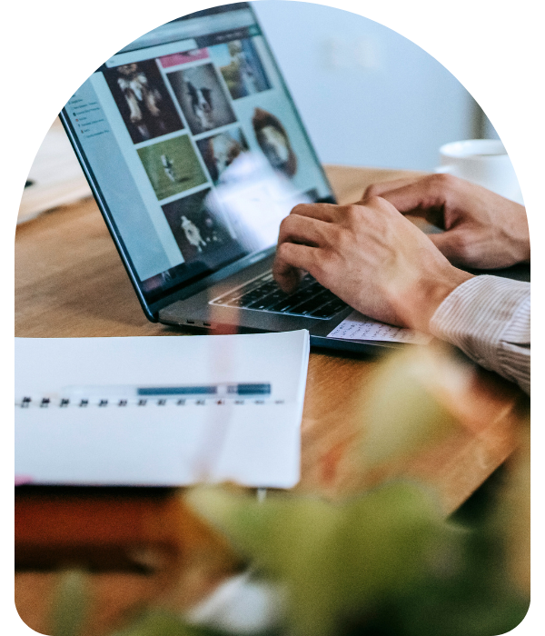 pic1 (500 x 800 px) (600 x 700 px) (4)